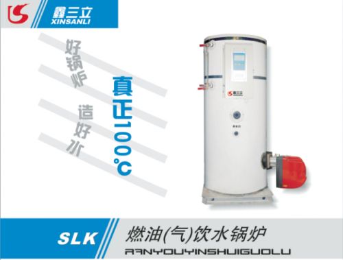 進(jìn)口燃?xì)忮仩t
